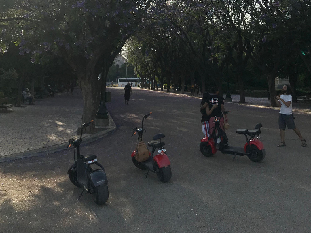 Athens: Wheelz Fat Bike Tours in Acropolis Area, scooter, ebike-雅典必去景点