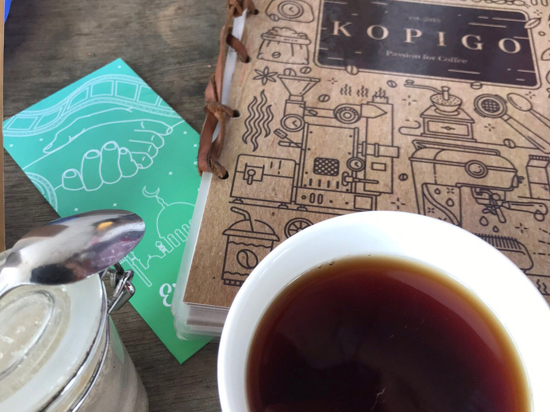 Kopigo