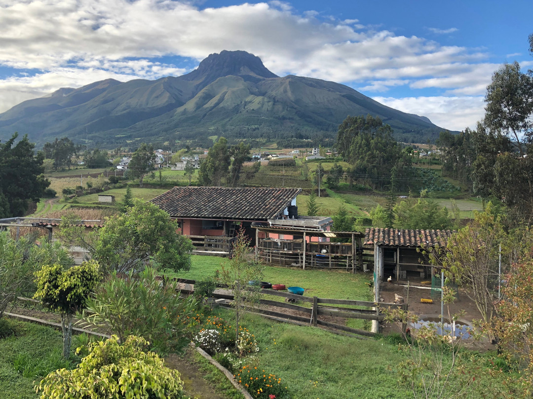 Pucara B&B and Spanish School主图