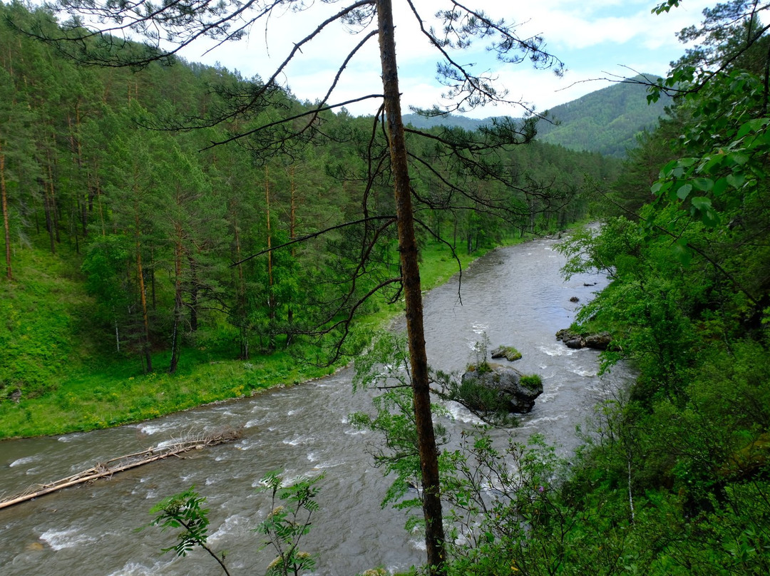 Gorno-Altaisk Botanical Garden景点图片