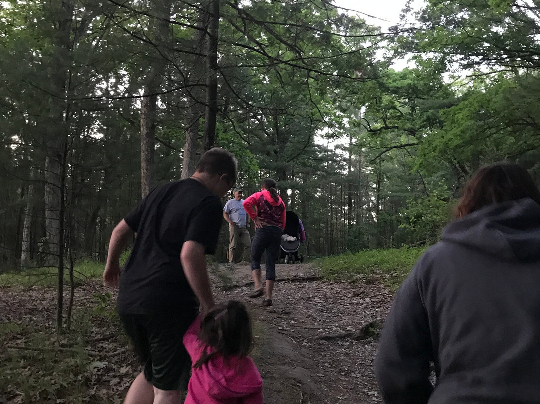 Birchcliff Resort主图