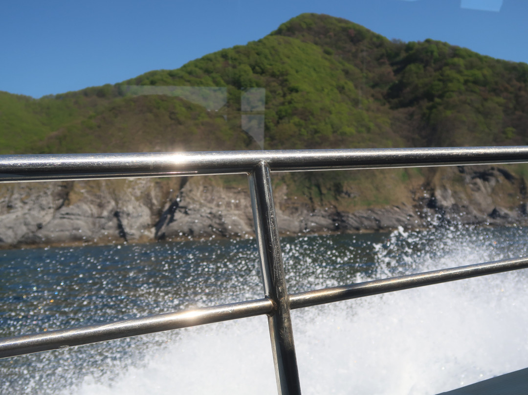Sai-Hotokegaura Sightseeing Boat景点图片