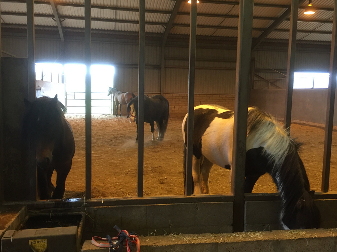 World Horse Welfare Belwade Farm-Aboyne必去景点