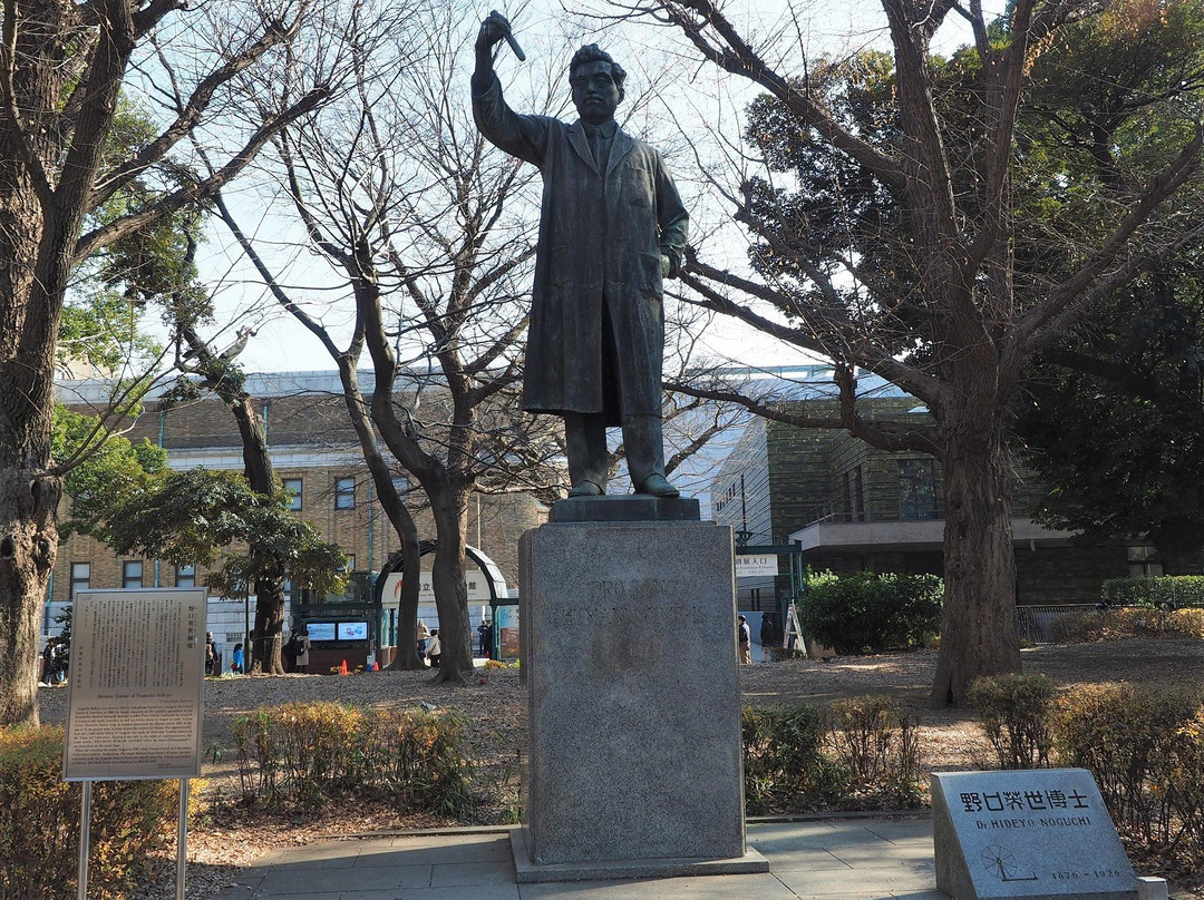 Hideyo Noguchi Statue-Uenokoen必去景点
