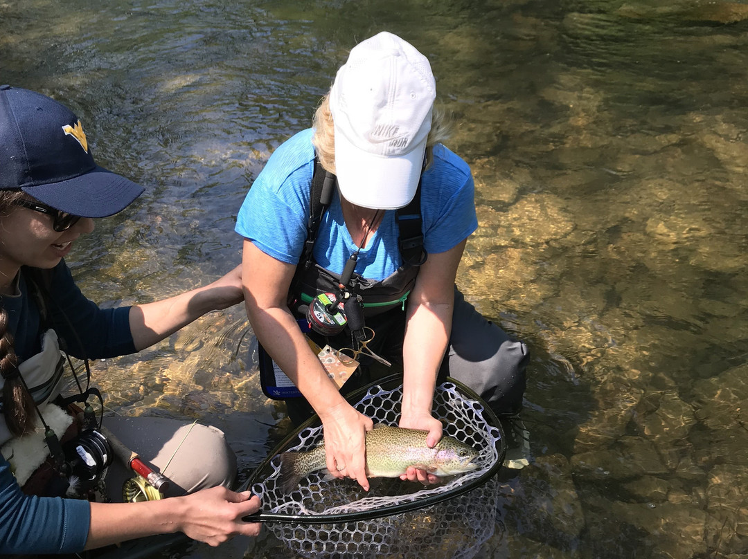 Knapps Creek Trout Lodge-Marlinton必去景点