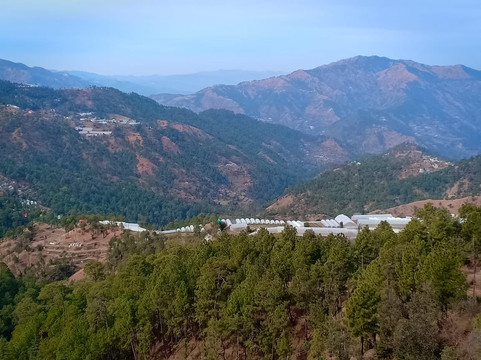 酒店舒适庄园主图