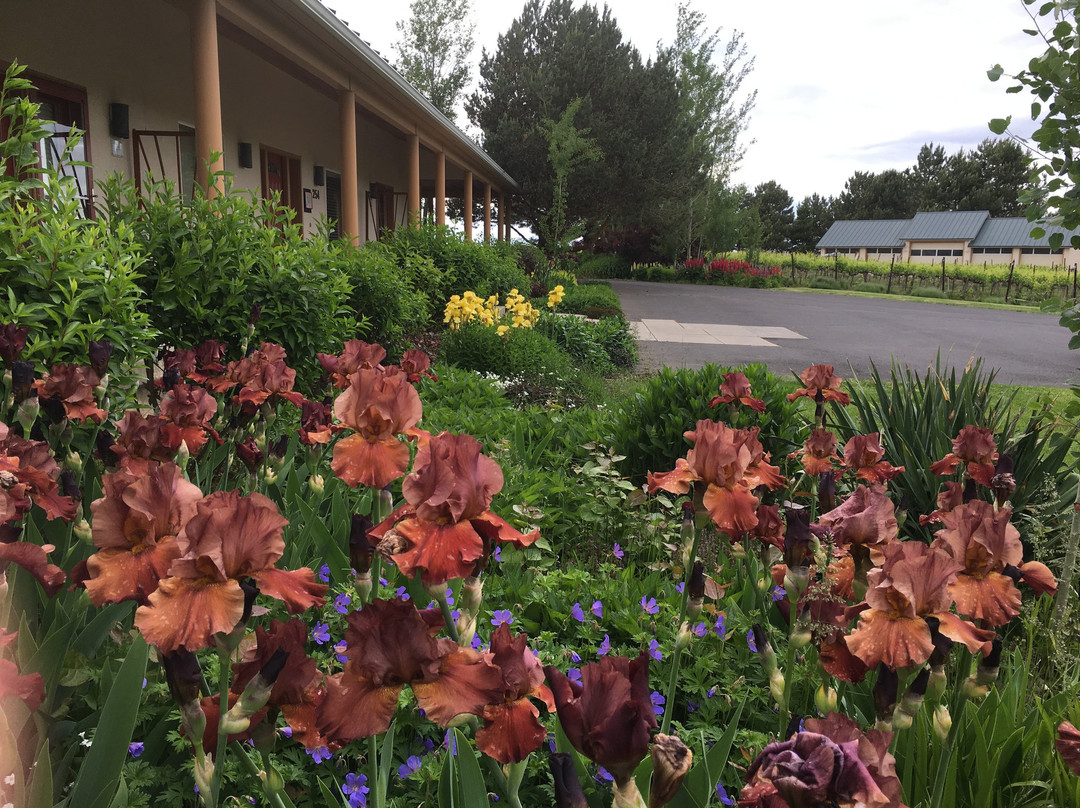 Johnson Ridge Inn & Vineyard主图