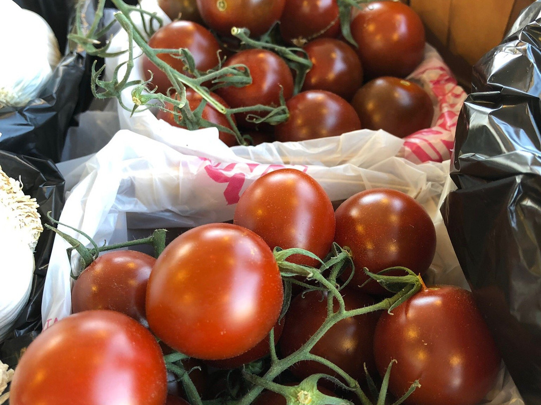 Frisco Fresh Market-弗里斯科必去景点