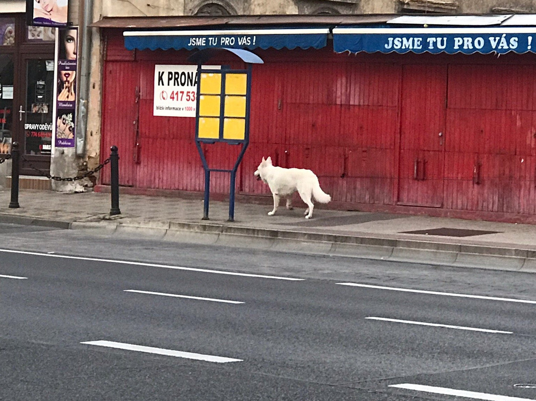 德克斯特酒店主图