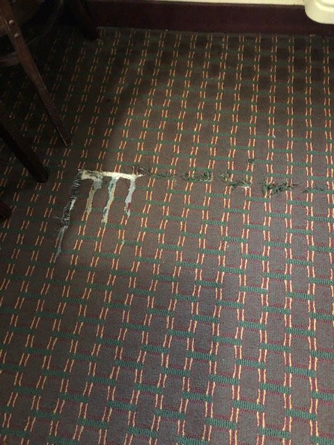 Quality Inn Kingsville Hwy 77主图