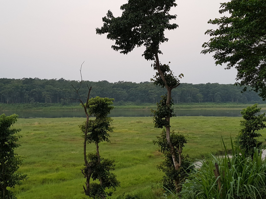 Safari Narayani Hotel主图