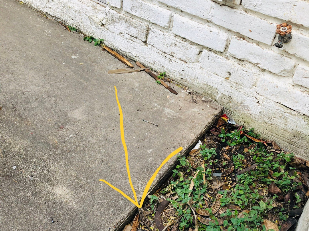 Rancho Viejo Resort主图