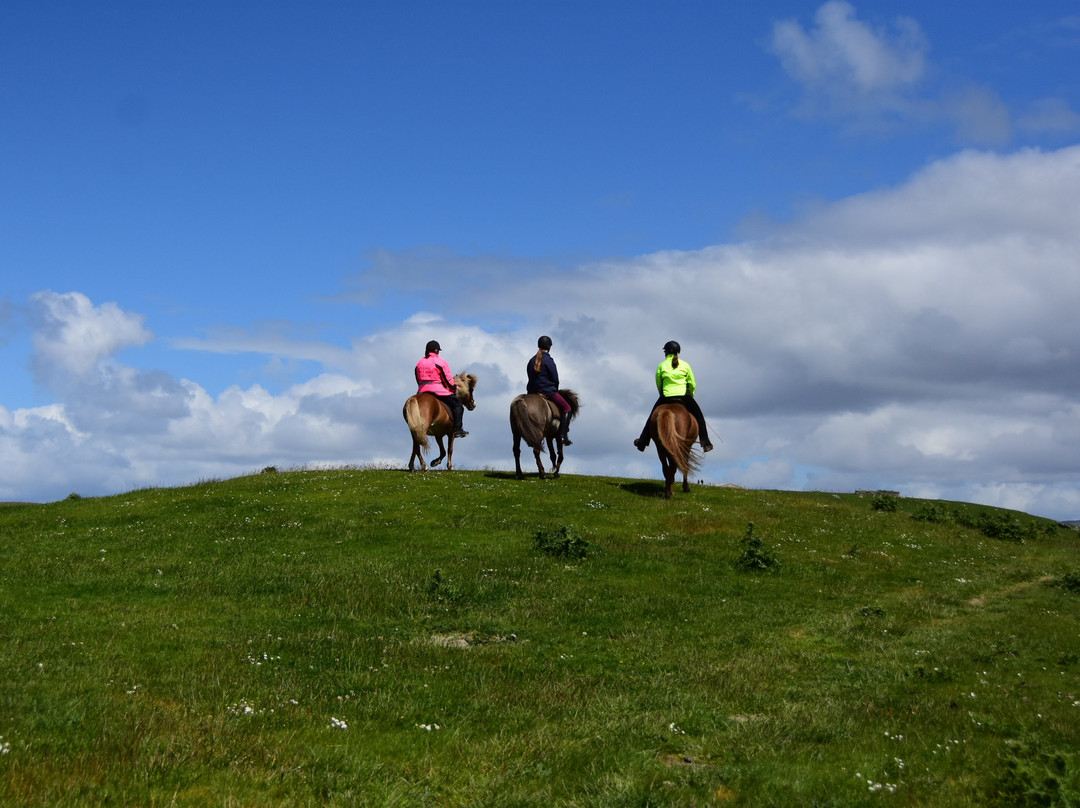 Houlls Horses & Hounds景点图片