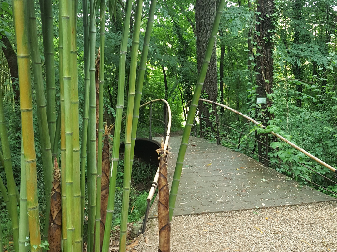 Le Parc aux Bambous景点图片