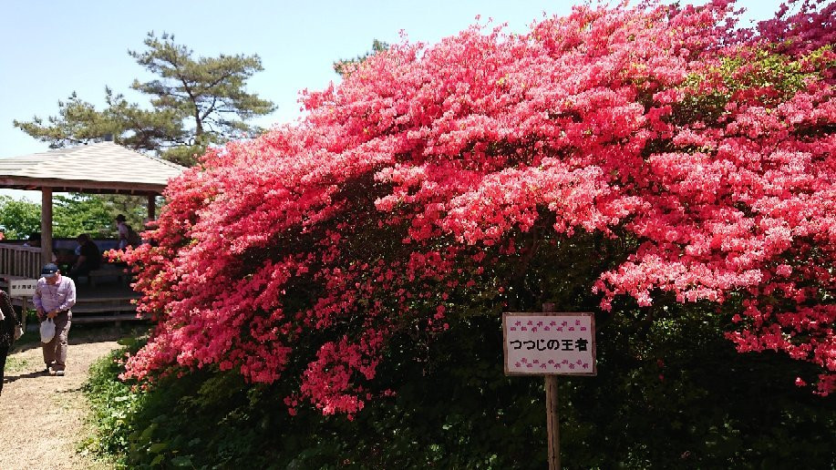 Mt. Tokusenjo-气仙沼市必去景点