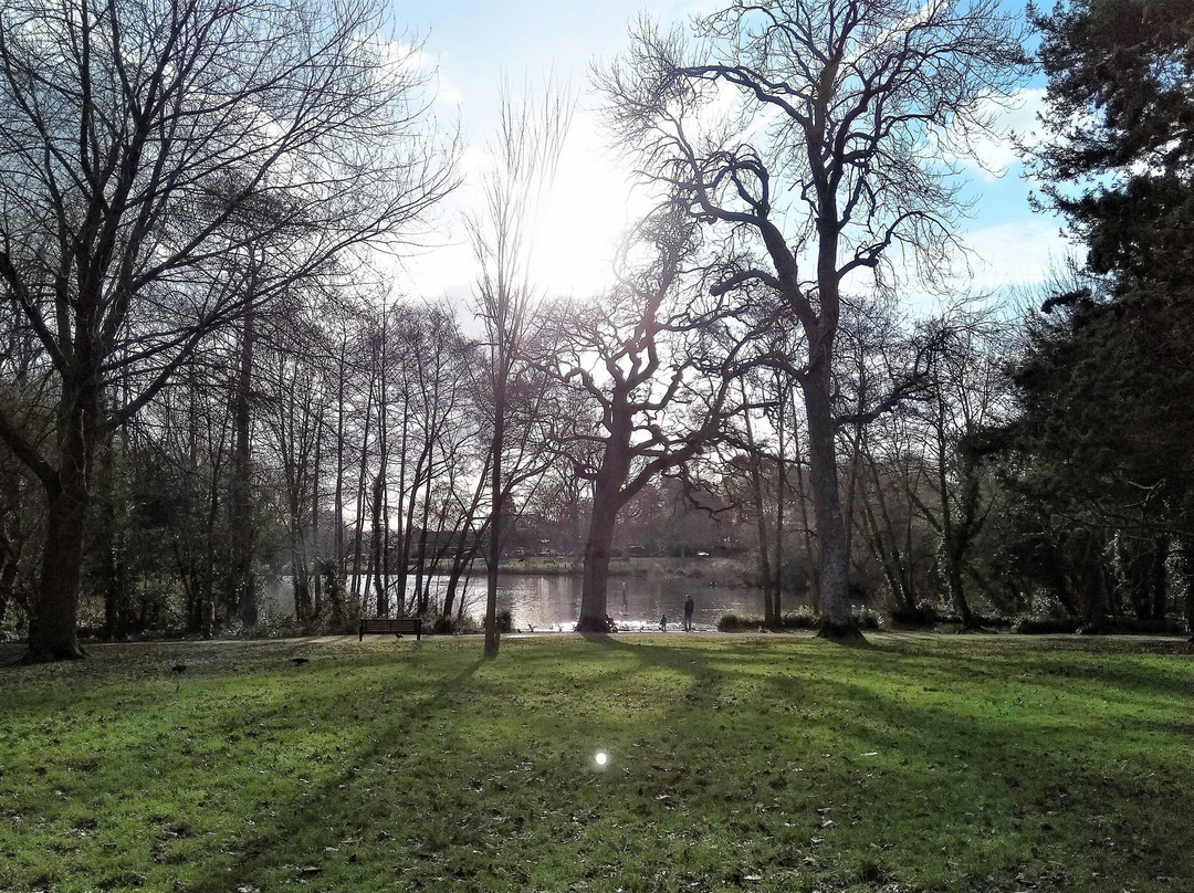 Hampden Park景点图片