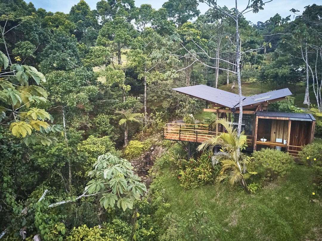 Ecolirios Boutique Hotel and Spa主图