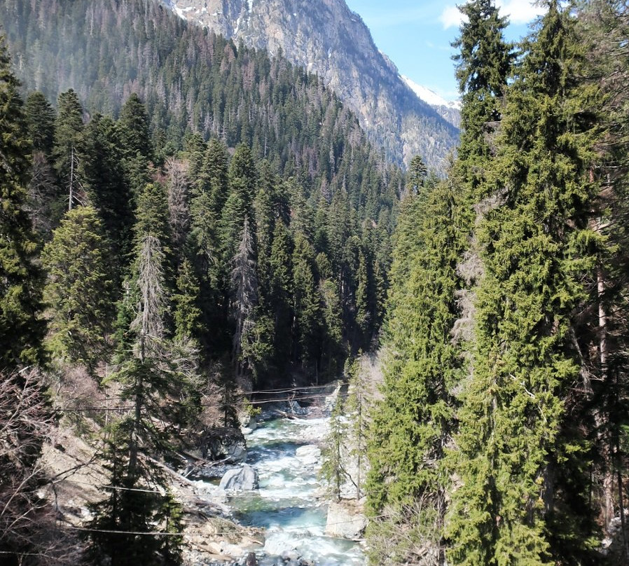 Excursions in Caucasus-Kislovodsk必去景点
