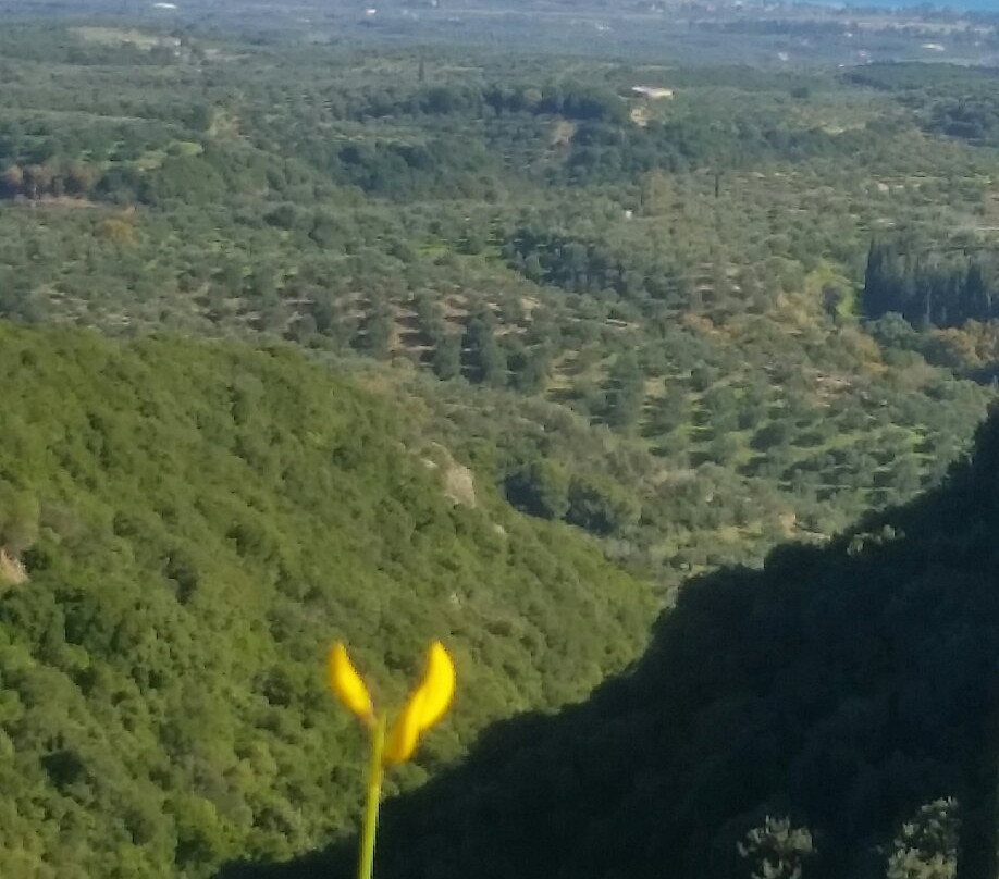 Polylimnio Waterfalls Tours-Charavgi必去景点