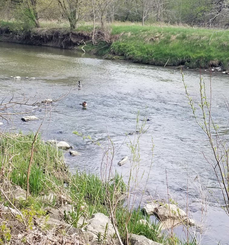 多伦多汉伯植物园-多伦多必去景点