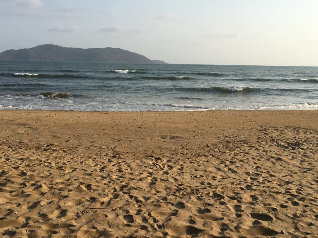 Jungle Lodges Devbagh Beach Resort主图