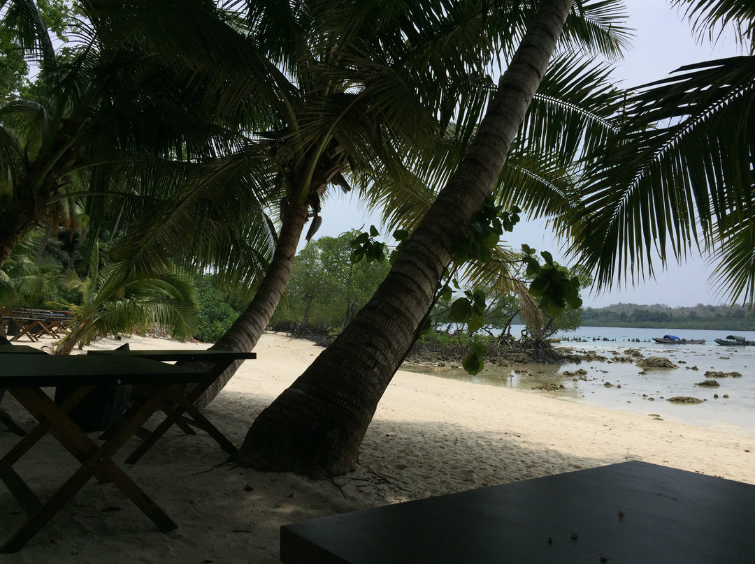 Andaman Ocean Tourism景点图片