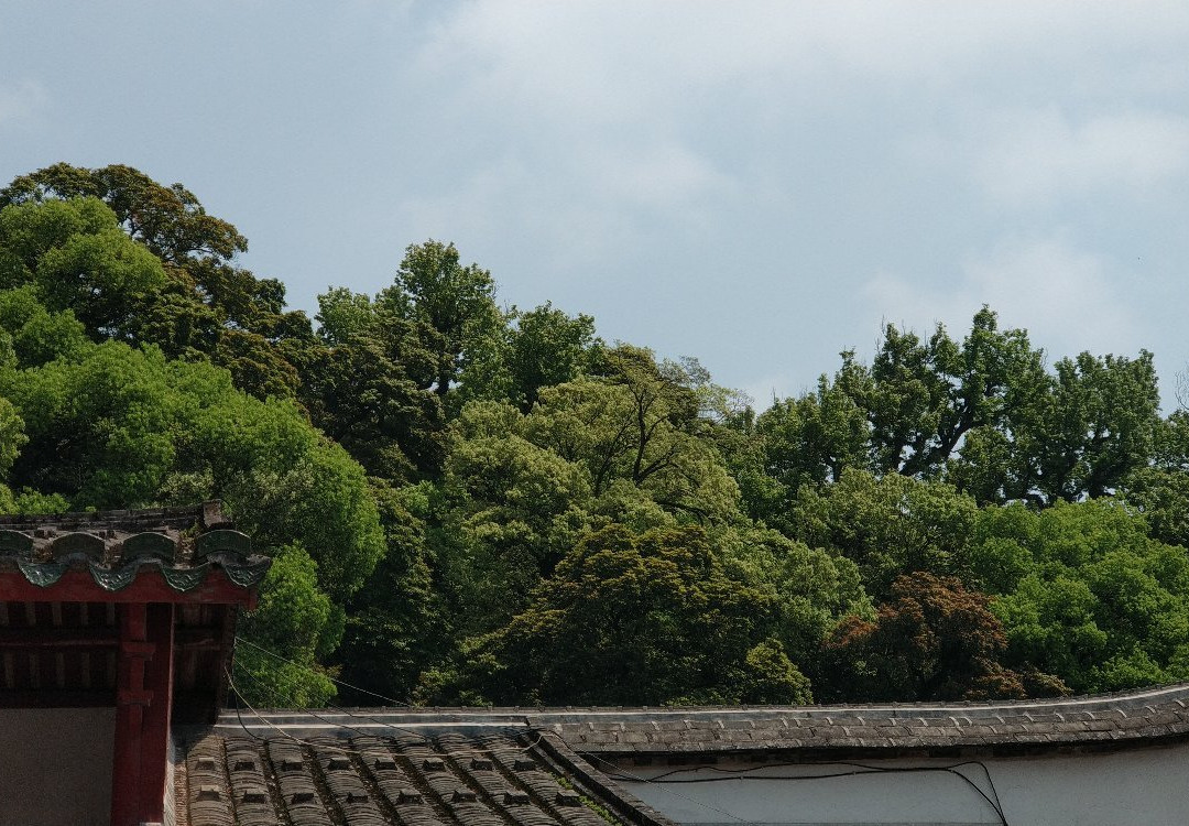 鼓山涌泉寺景点图片