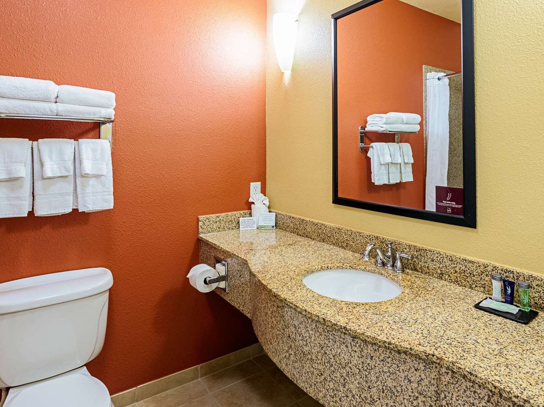 Sleep Inn & Suites Tyler South主图