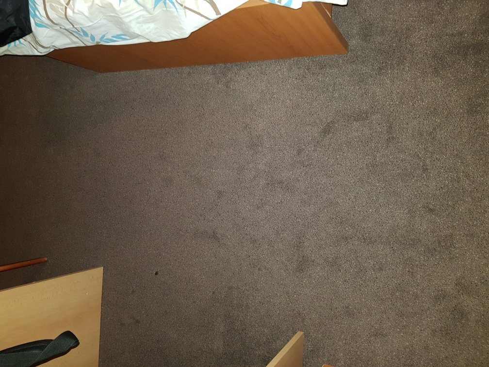 Hotel Spectrum主图