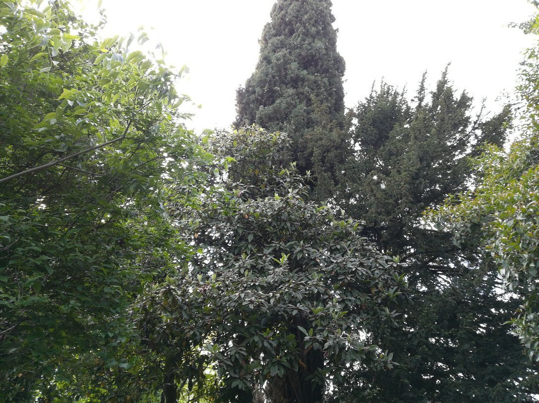 Giardino Botanico Colla-里沃利必去景点