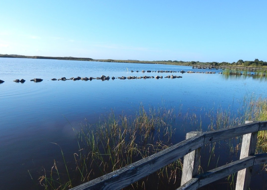 Back Bay National Wildlife Refuge景点图片