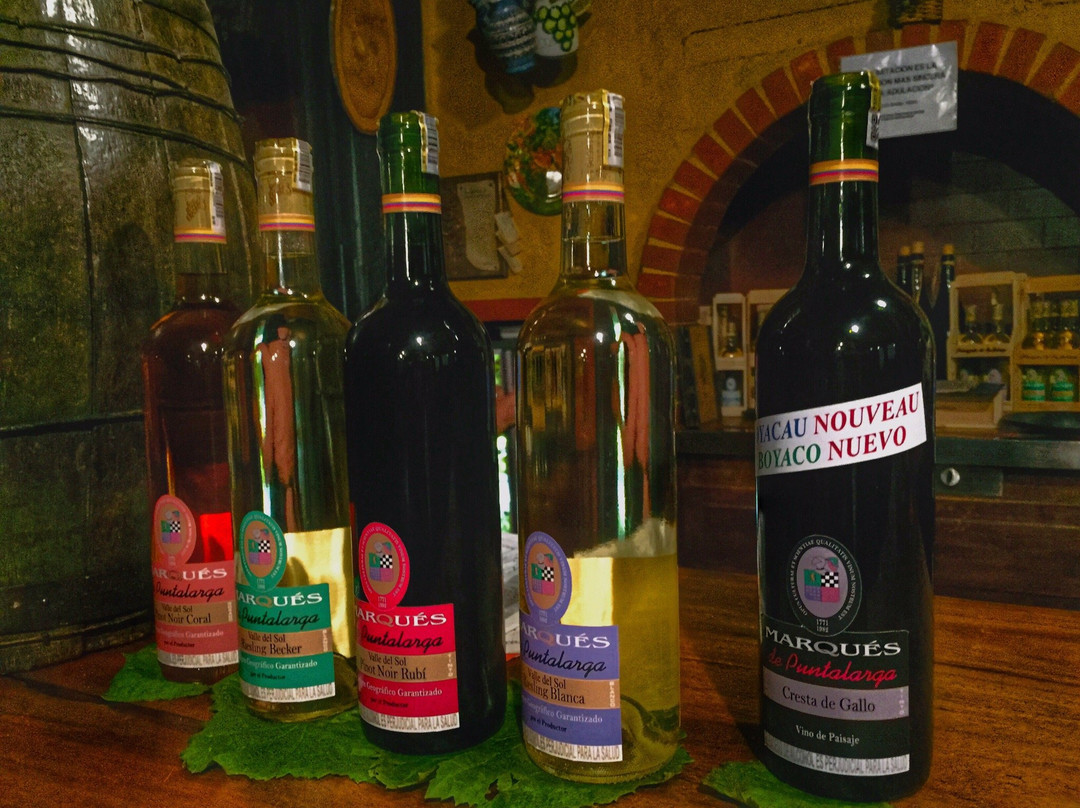 Marqués De Puntalarga-Nobsa必去景点