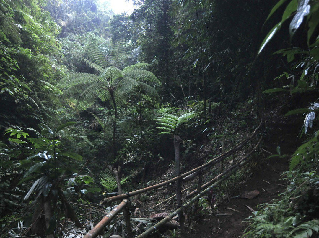 Taro Village Experience-Taro必去景点
