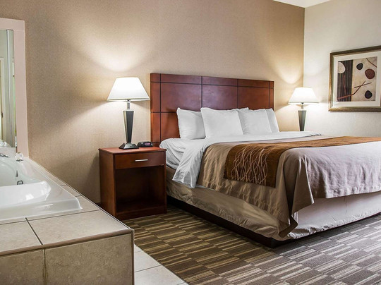 Spark by Hilton Ann Arbor South主图