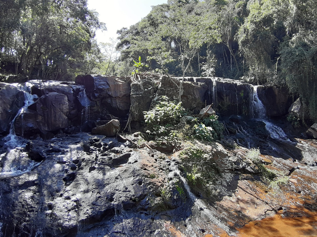 Parque da Cascata景点图片