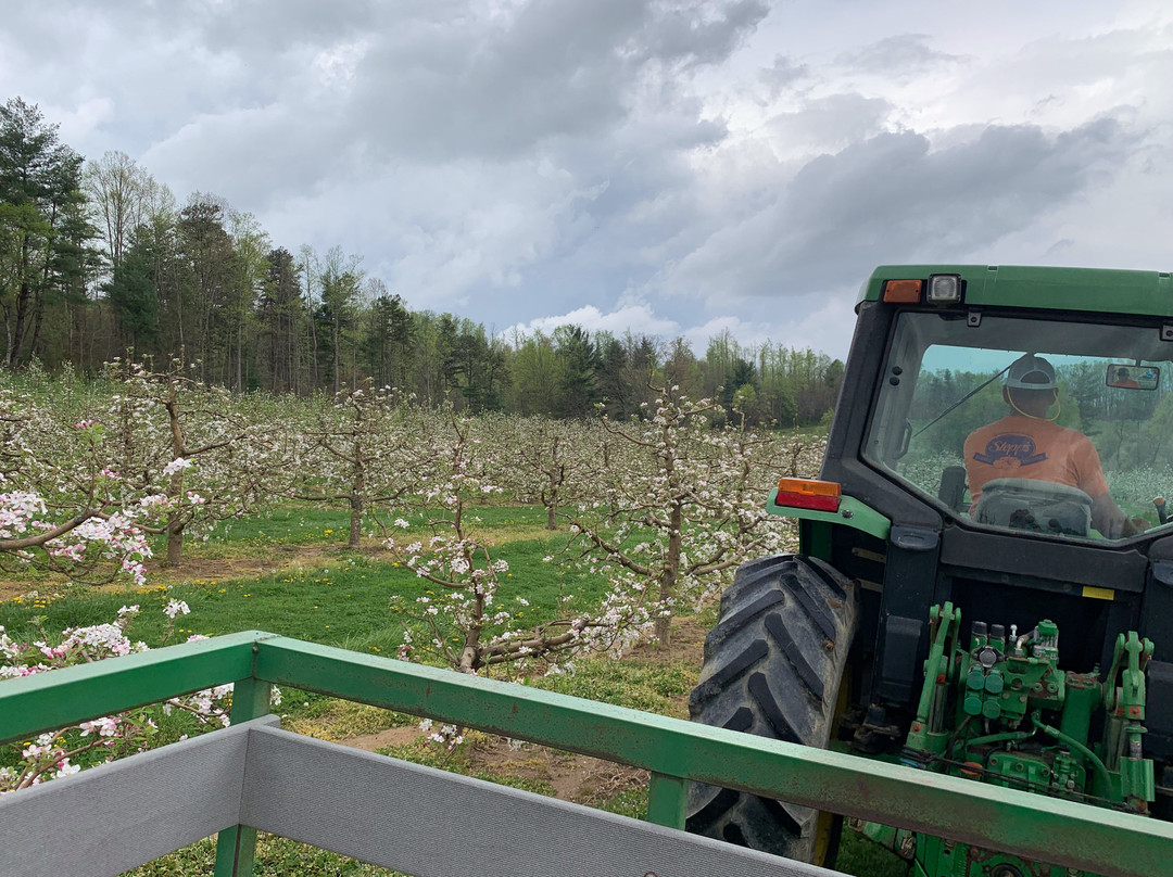 Stepp's Hillcrest Orchard-亨德森维尔必去景点