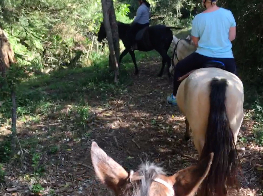 Boschrivier Farm & Stables-Wittedrift必去景点