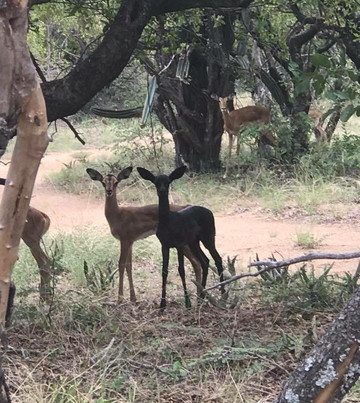 Unathi Horseback Trails-Brits必去景点
