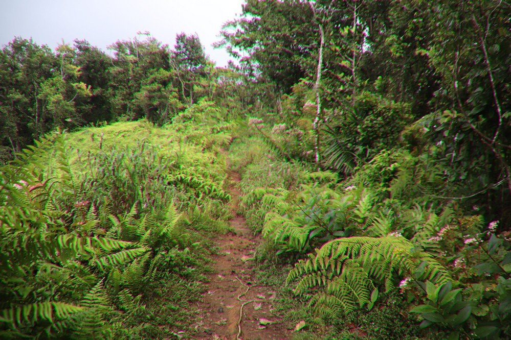 Randonnée de la Trace des Jésuites-Fonds Saint Denis必去景点