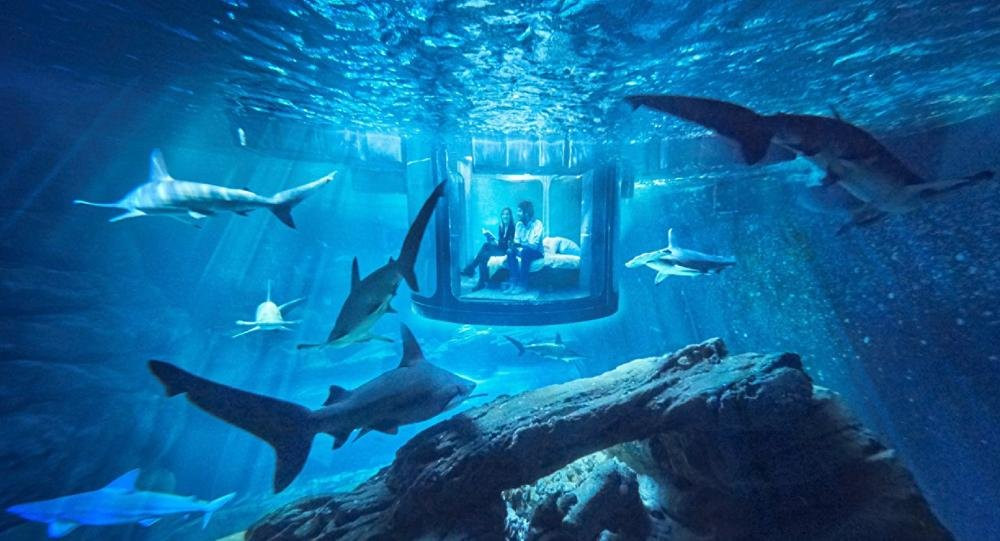 ANTT-迪拜必去景点