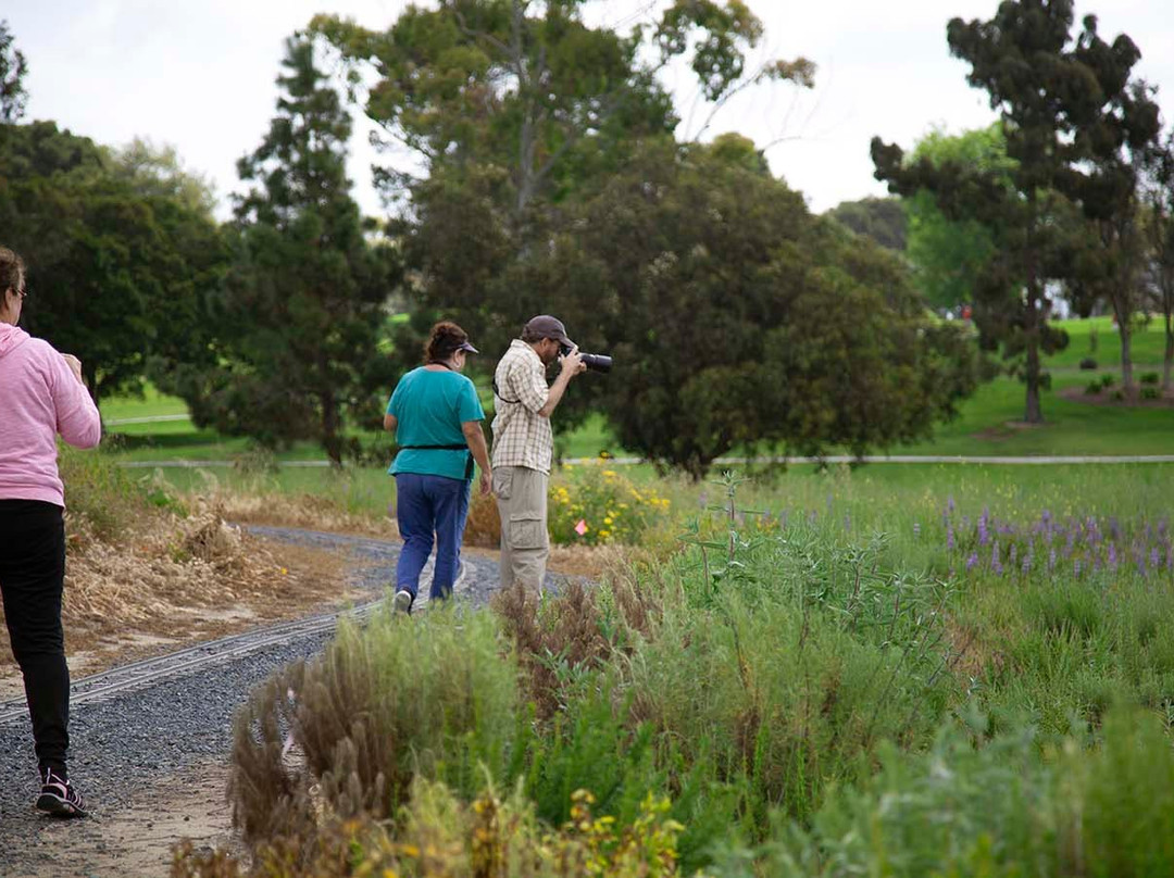 Fairview Park-科斯塔梅沙必去景点