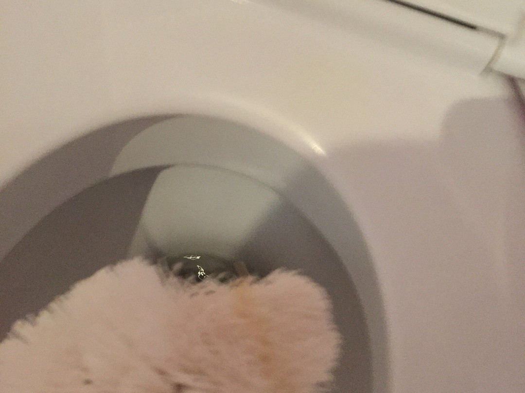 The Originals City Hotel Novella Premium, Carquefou主图