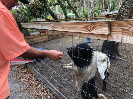 2023年11月Gatorama景点攻略-Gatorama门票预订|地址|图片-Gatorama景点点评-猫途鹰
