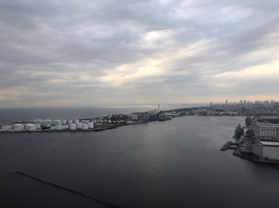 Oarai Marine Tower景点图片