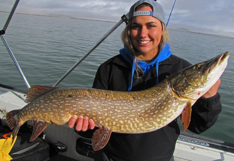 FishHead Outdoors-普韦布洛必去景点