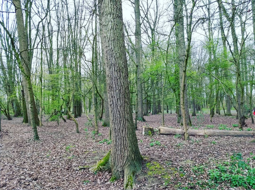 Zuiderpark-鹿特丹必去景点