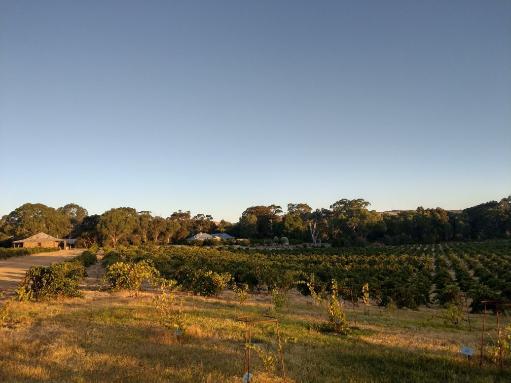 St Hugo Wines (Experience)-Rowland Flat必去景点