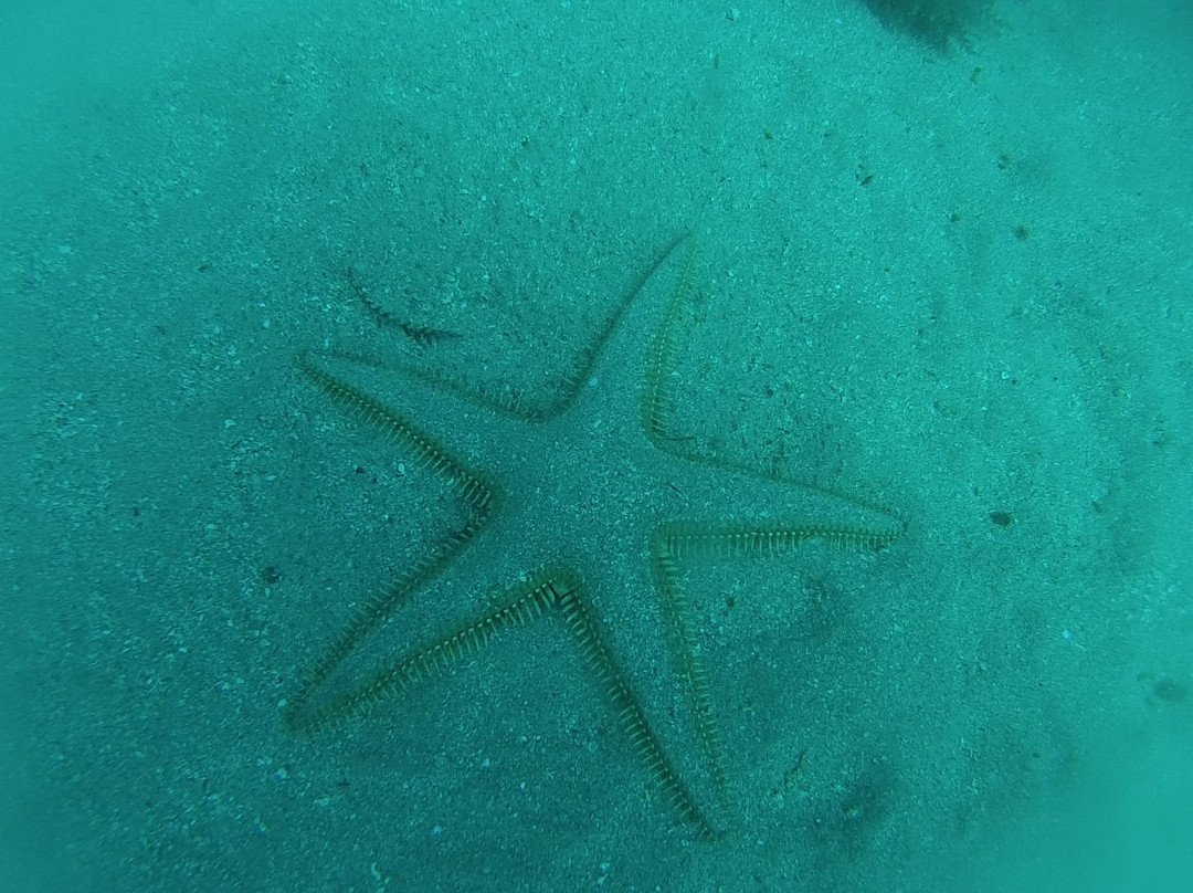 Puerto Buceo-圣玛丽亚港必去景点
