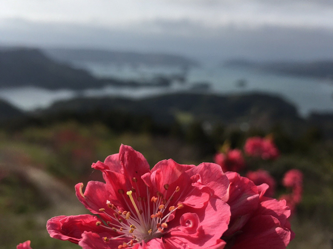 Mt. Aguri-伊万里市必去景点