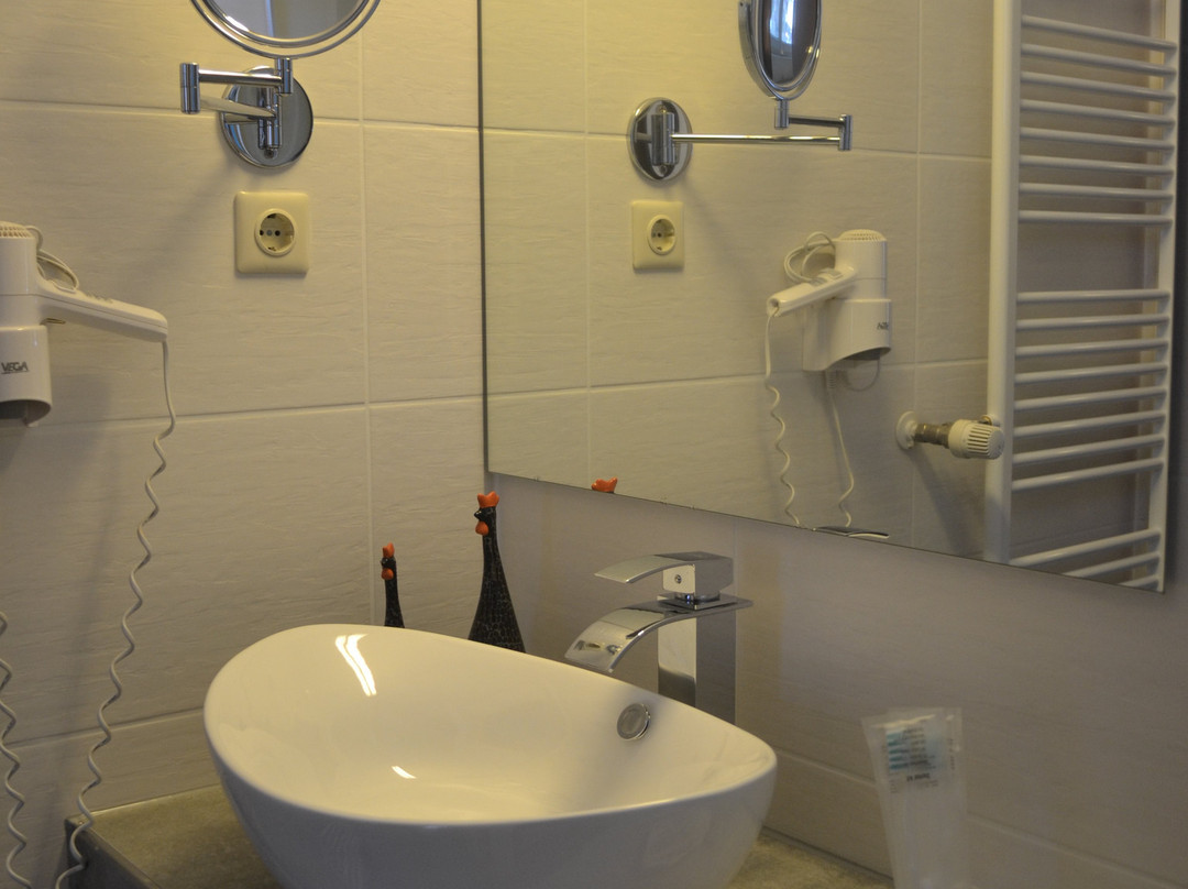 Parkhotel Flora主图